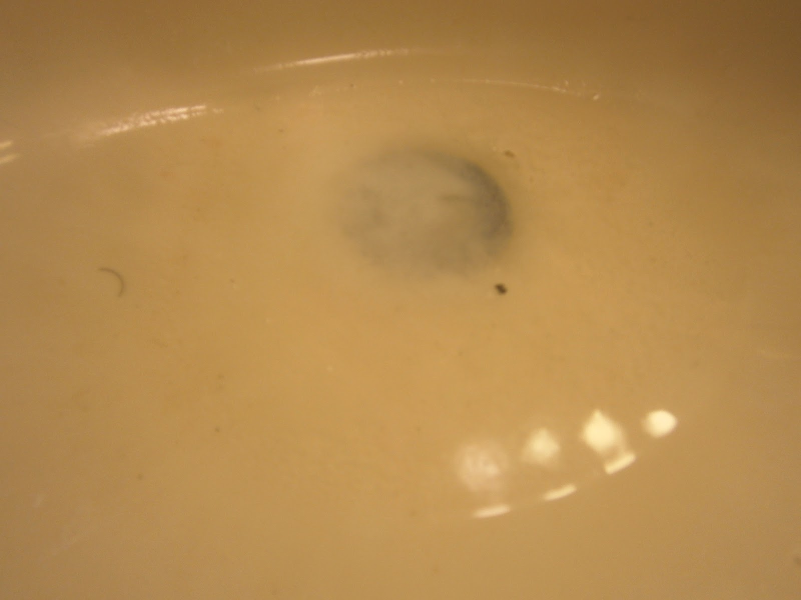 Goin' Domestic Drano Alternative