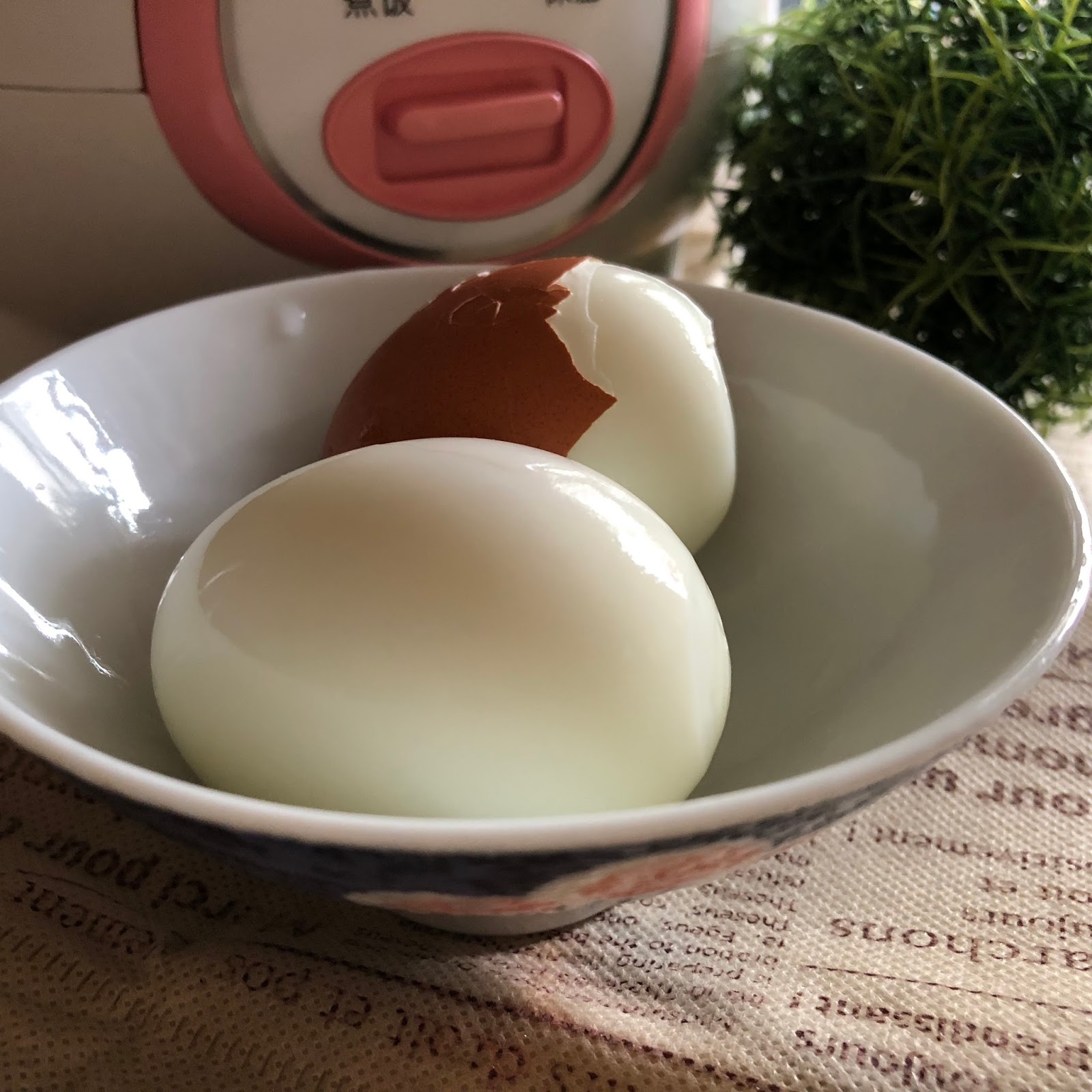 My Mind Patch Mini Rice Cooker Steamed Hardboiled Egg