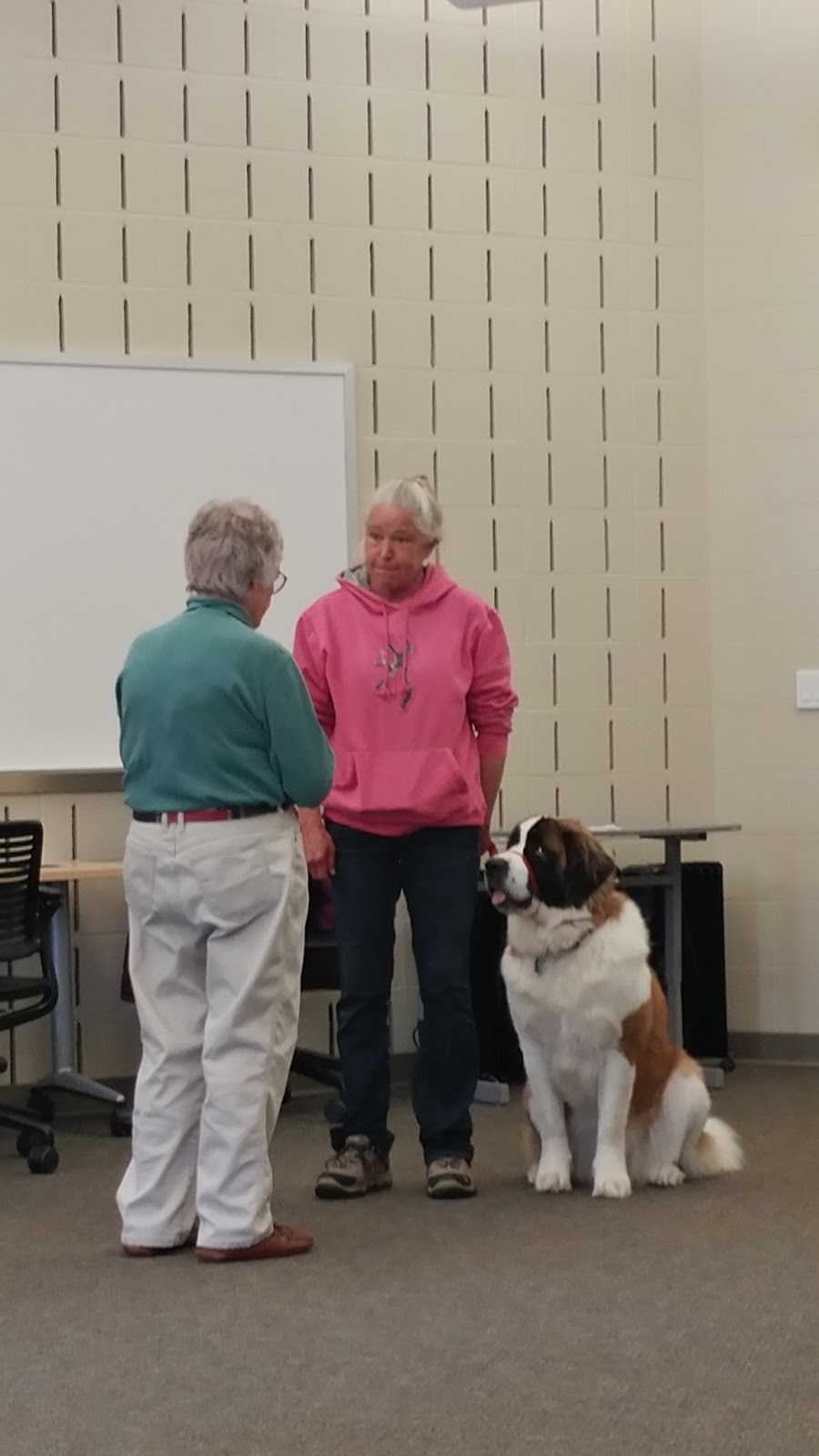 Stories from Sweetgrass Farm a therapy dog test....