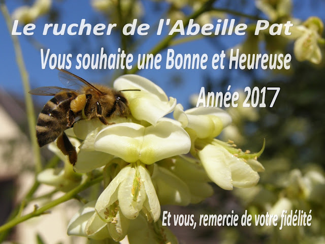  Bonne et Heureuse Année 2017