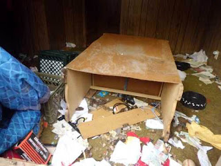 Four legged friends (and enemies): Police investigate case of abused