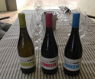 vins%2Bde%2Bforesta%2B20160321 130718