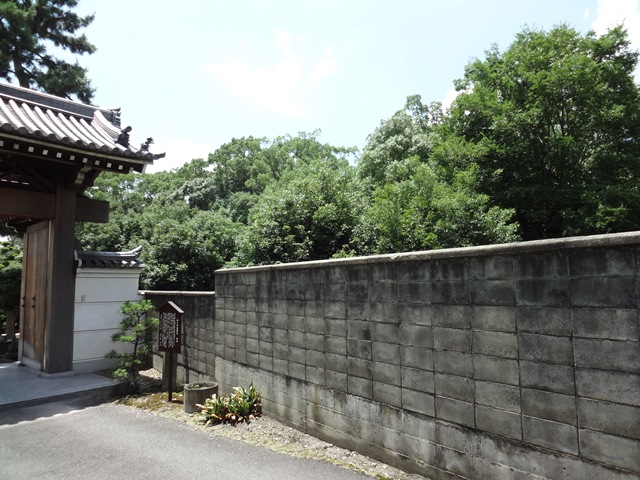 こふんとねこすこし 念仏寺山古墳（開化天皇陵古墳）