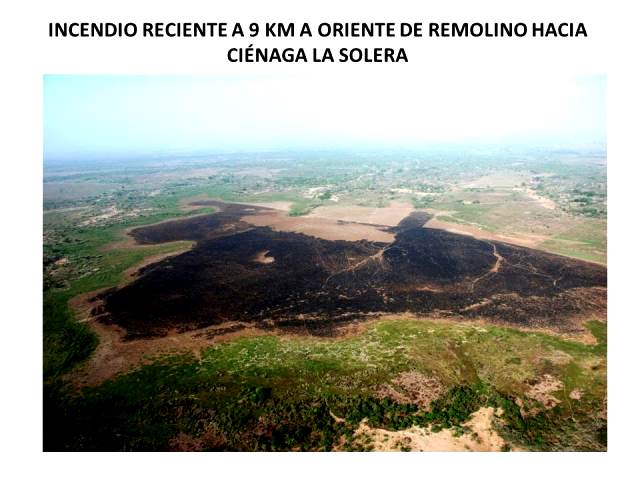 Destrucción ambiental de la Ciénaga Grande de Santa Marta