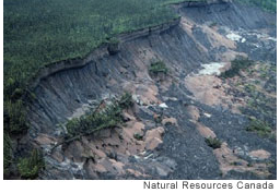 [blueberry-bearded-dragon-temperature.jpg]