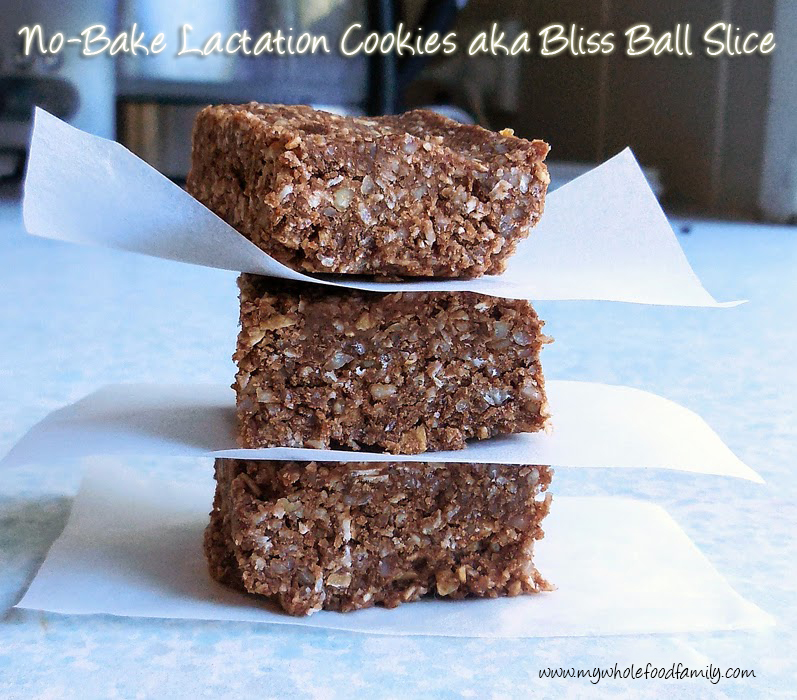 My Wholefood Family Essentials: No Bake Lactation Cookies (Bliss Ball ...