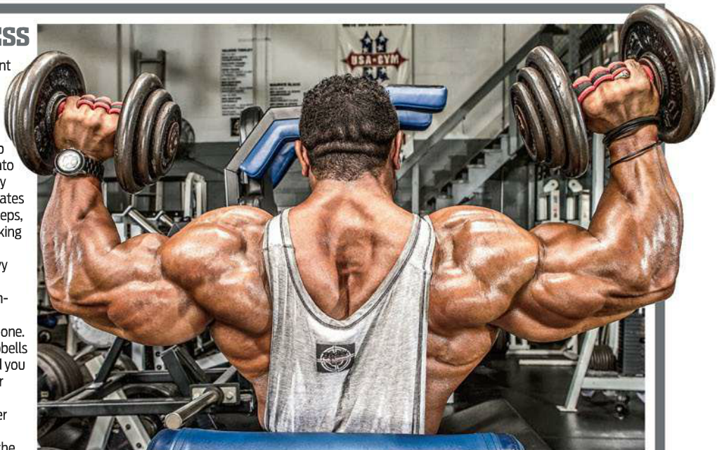 Some of the best bodybuilding websites