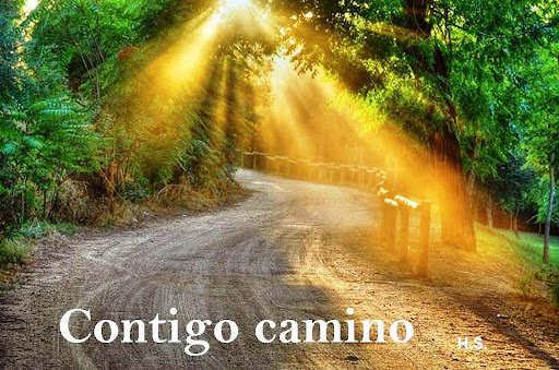 Contigo camino