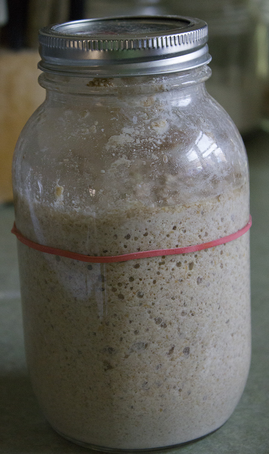 Rurification Robin Edmundson Feeding Your Natural Yeast Start