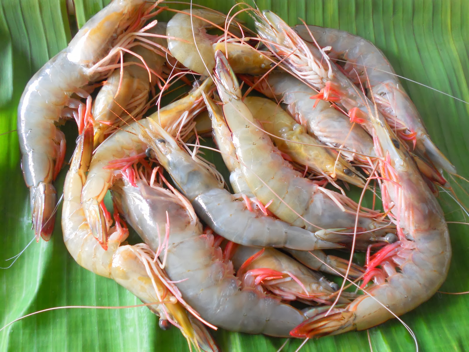 Coconut Shrimp Recipe / Kerala Style