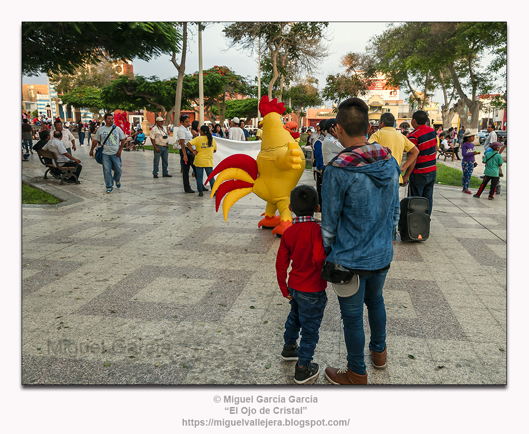 El Gallo. Plaza de Armas de Pisco (Perú)