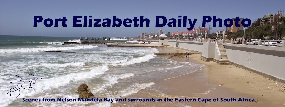 Port Elizabeth Daily Photo
