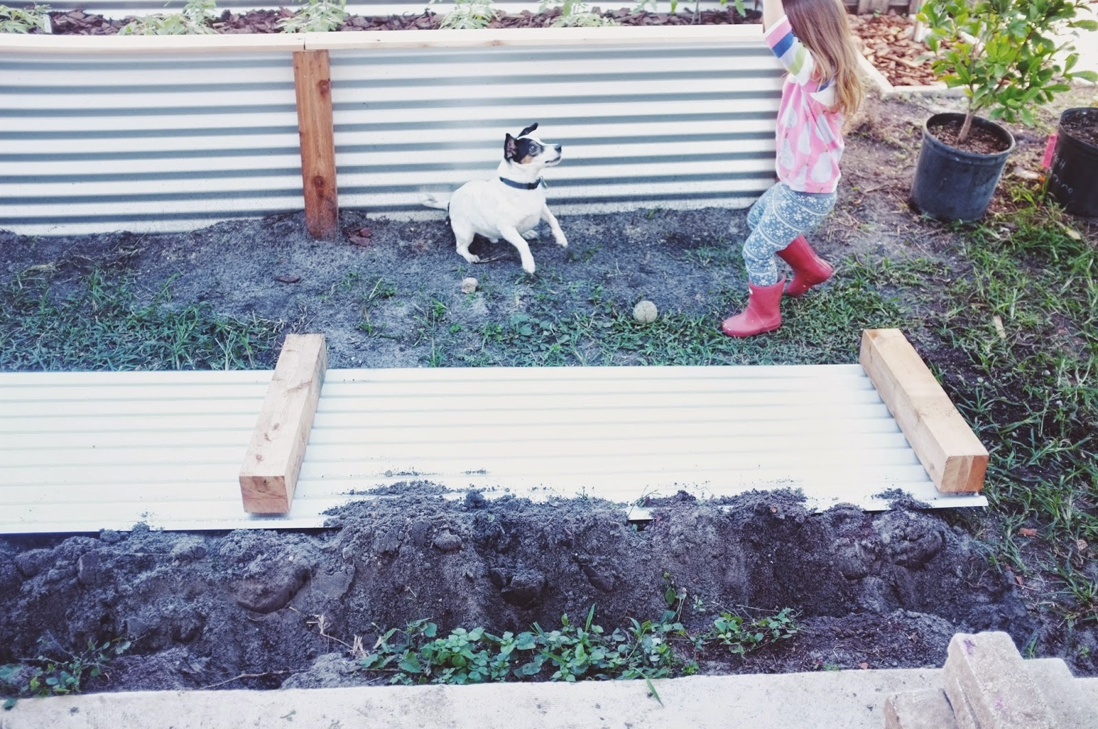 Metal Raised Garden Beds | Terrasse En Bois