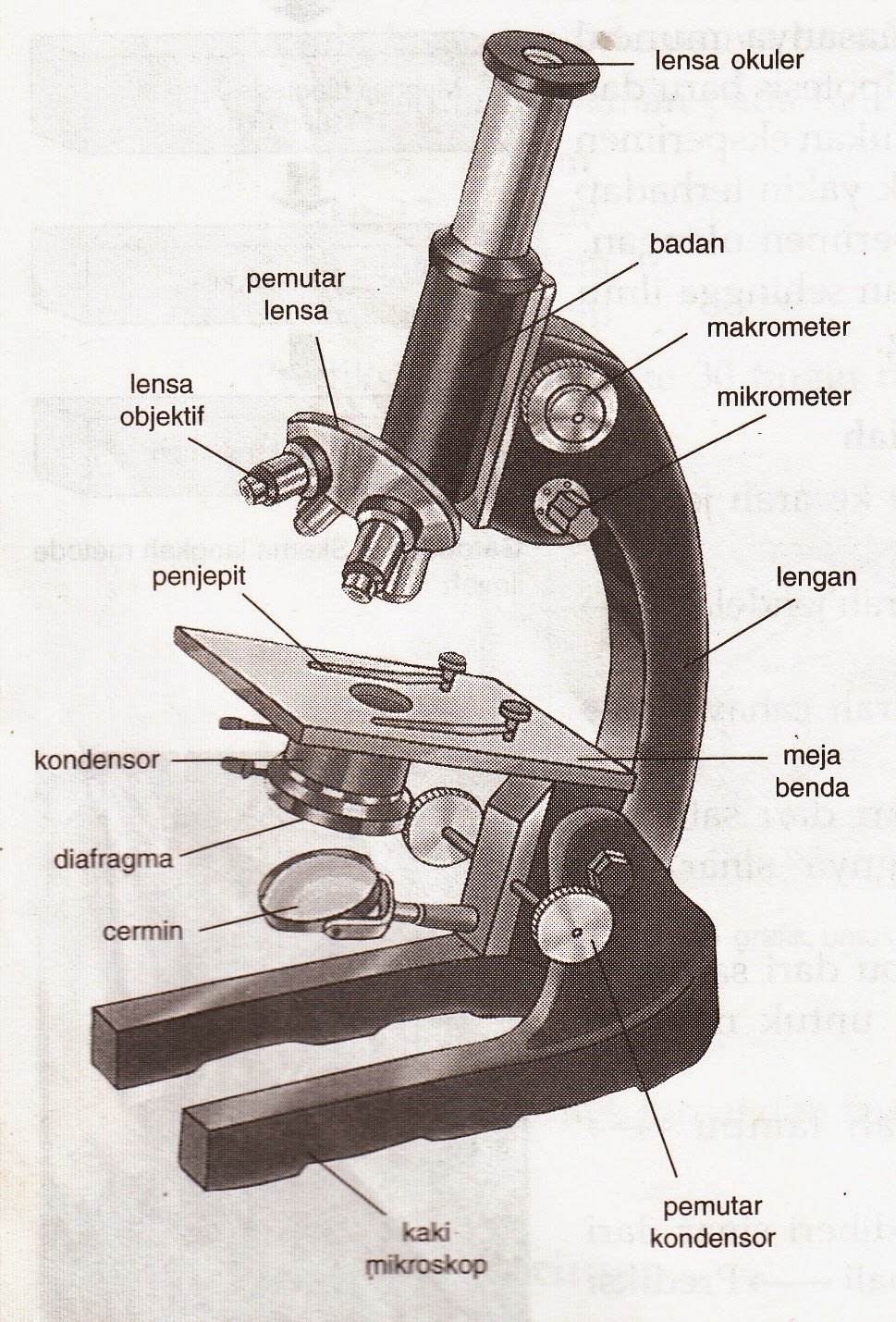 Cara menggunakan mikroskop dan bagian-bagian mikrskop beserta fungsi-fungsinya