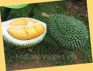 Durian fruit nutrition facts