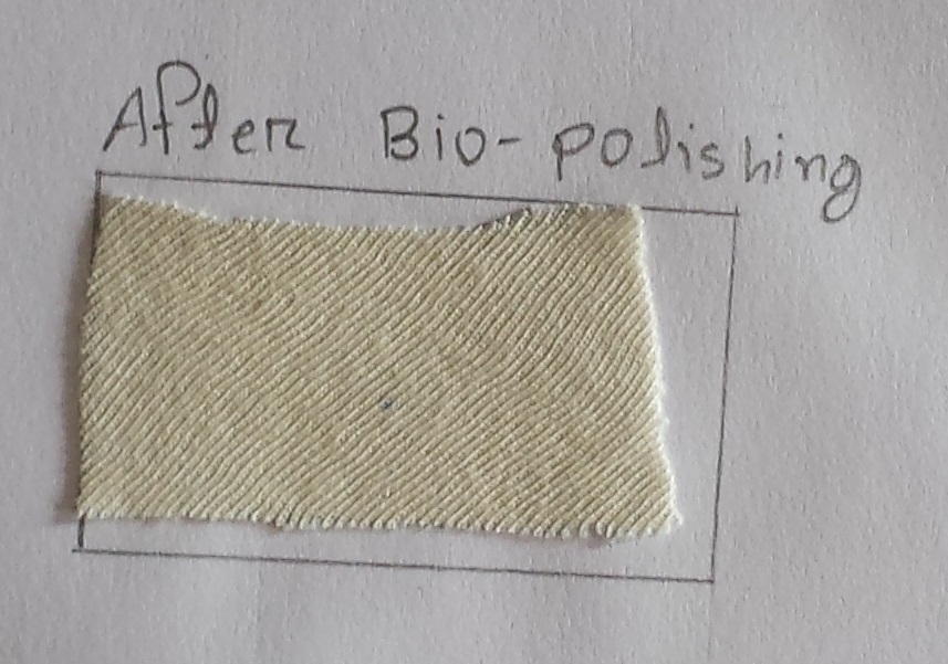 Biopolishing of 100 cotton knitted fabric with cellulase Enzyme