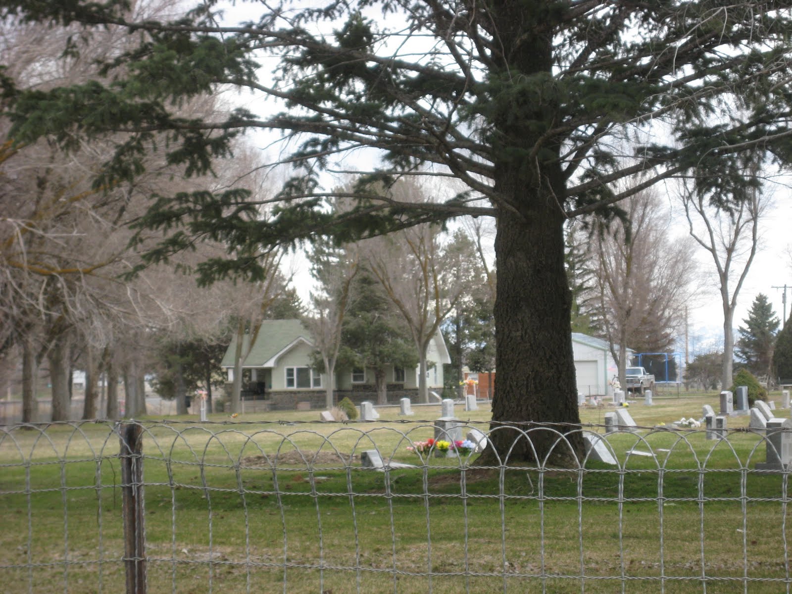 Shell's Photo Album Arimo, Idaho