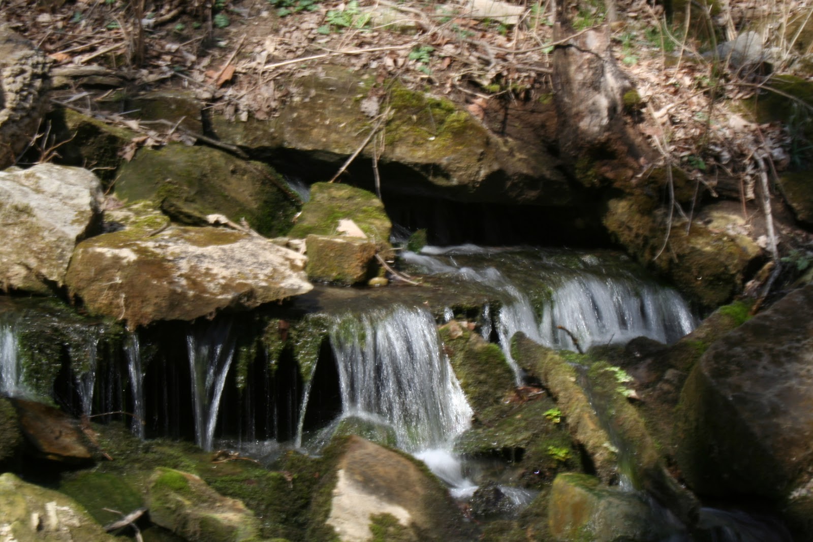 Bloomington, IN Leonard Springs Nature Park Explore This City