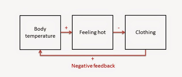 system diagram showing "Body temperature" with positive arrow flowing into "Feeling hot", then negative arrow feeding into "clothing"; return positive arrow from clothing to body temperature is labeled "negative feedback".
