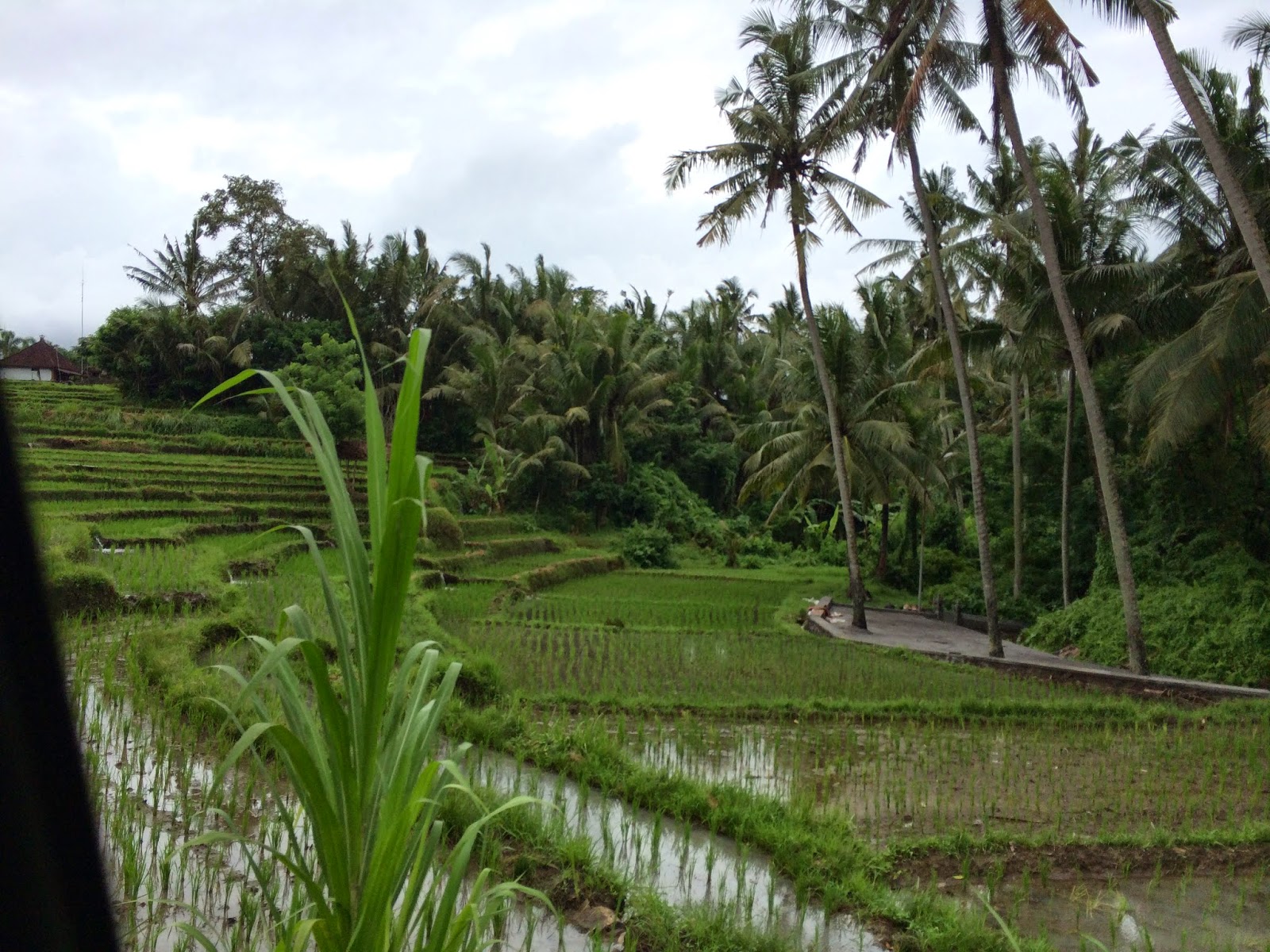 One More Bite Blog | Food | Travel | Adventures: 1MB Travels: Bali ...