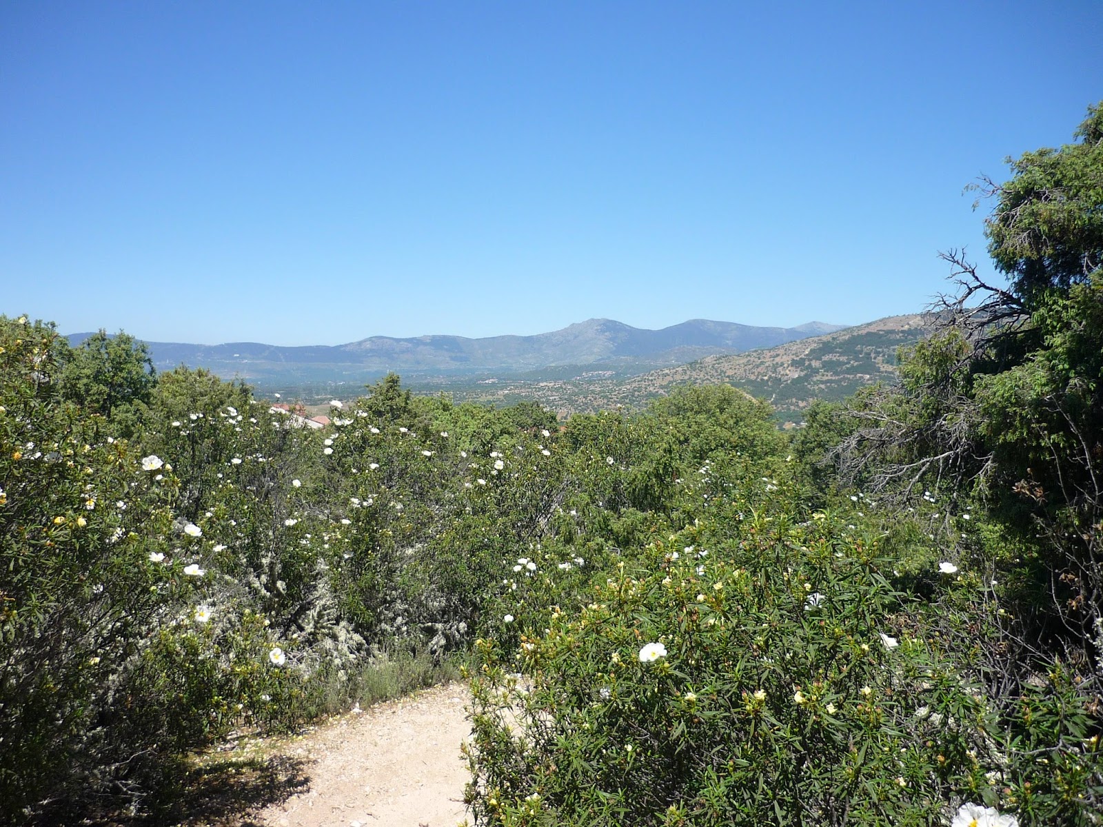 Go Tandem! Vuelta por la sierra de Hoyo de Manzanares, caminos entre los jarales