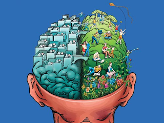 Cada hemisferio cerebral se encarga de funciones distintas.