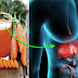 A Glass of Carrots Juice Everyday Can Help To Detoxify Liver, Blood Clotting, Heart Disease, and Even Losing Weight