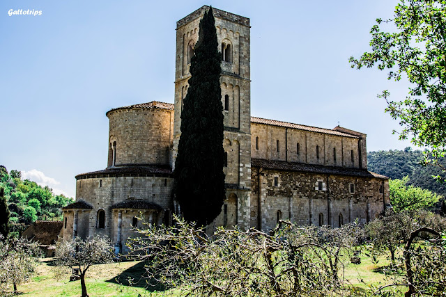 La vida es bella - La Toscana - Rinascita (3)