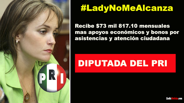 Diputada del PRI gana 534 mil pesos y dice que no le alcanza ese dinerito Diputada del PRI gana 534 mil pesos y dice que no le alcanza ese dinerito