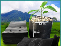 Mengenal Macam-macam Ukuran Polybag