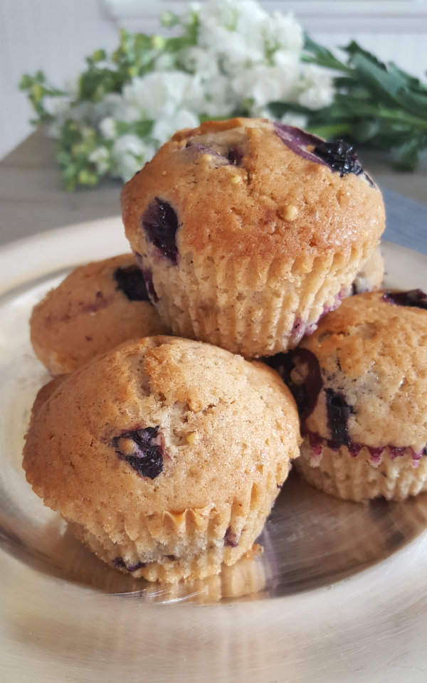 ciao! newport beach: super healthy blueberry muffins