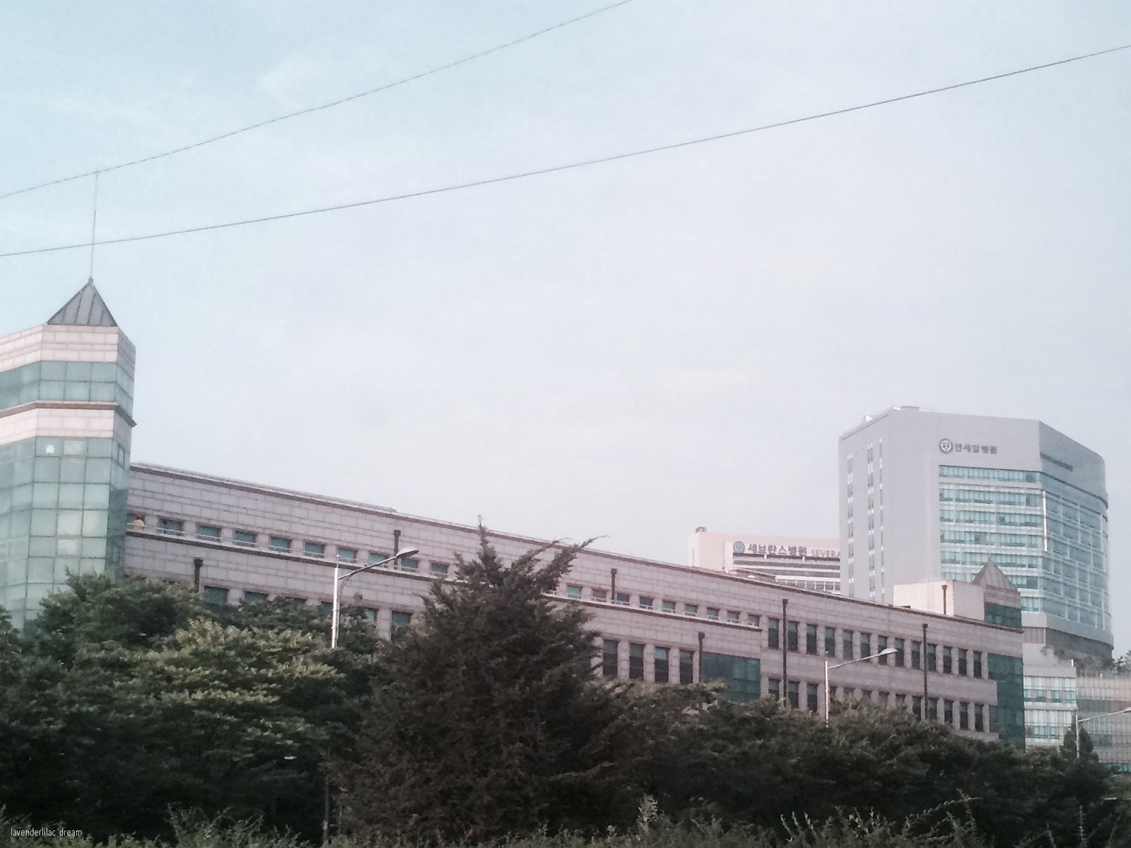 South Korea, Seoul, Sinchon, Yonsei University, YISS 2014