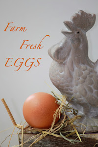 Fresh Farm Eggs