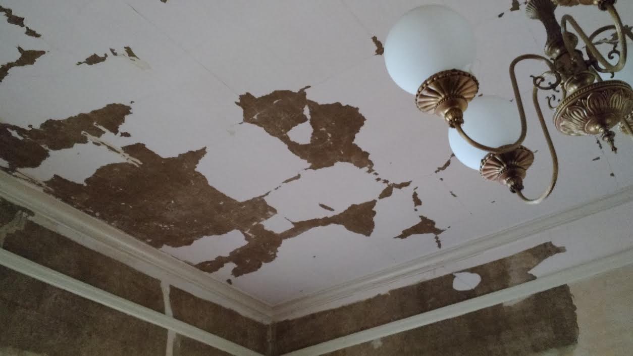 Wild Rose Victorian House Removing Wallpaper In The Living Room