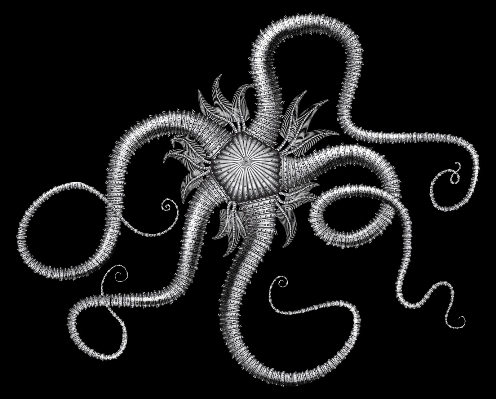 My Vain Doodles Weird Brittle Star