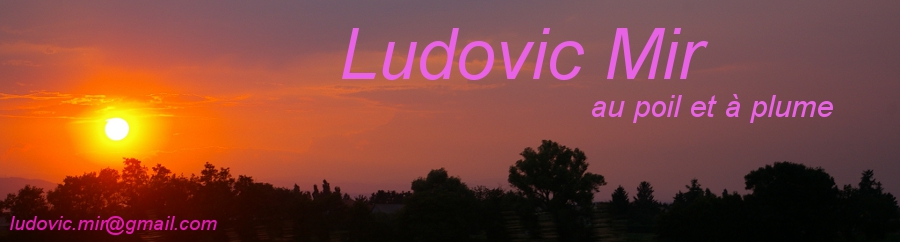 Ludovic Mir