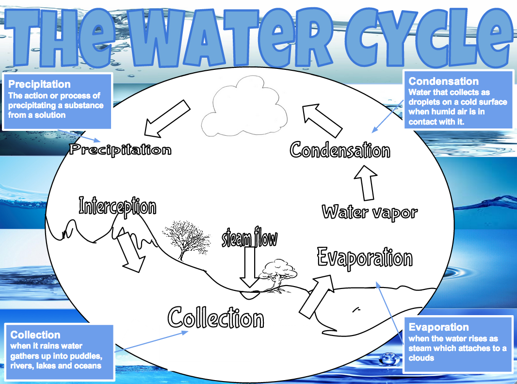 Who Discovered The Water Cycle 25