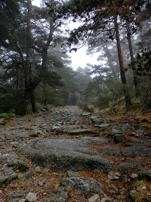 Calzada romana del valle de la Fuenfría en Cercedilla. Madrid