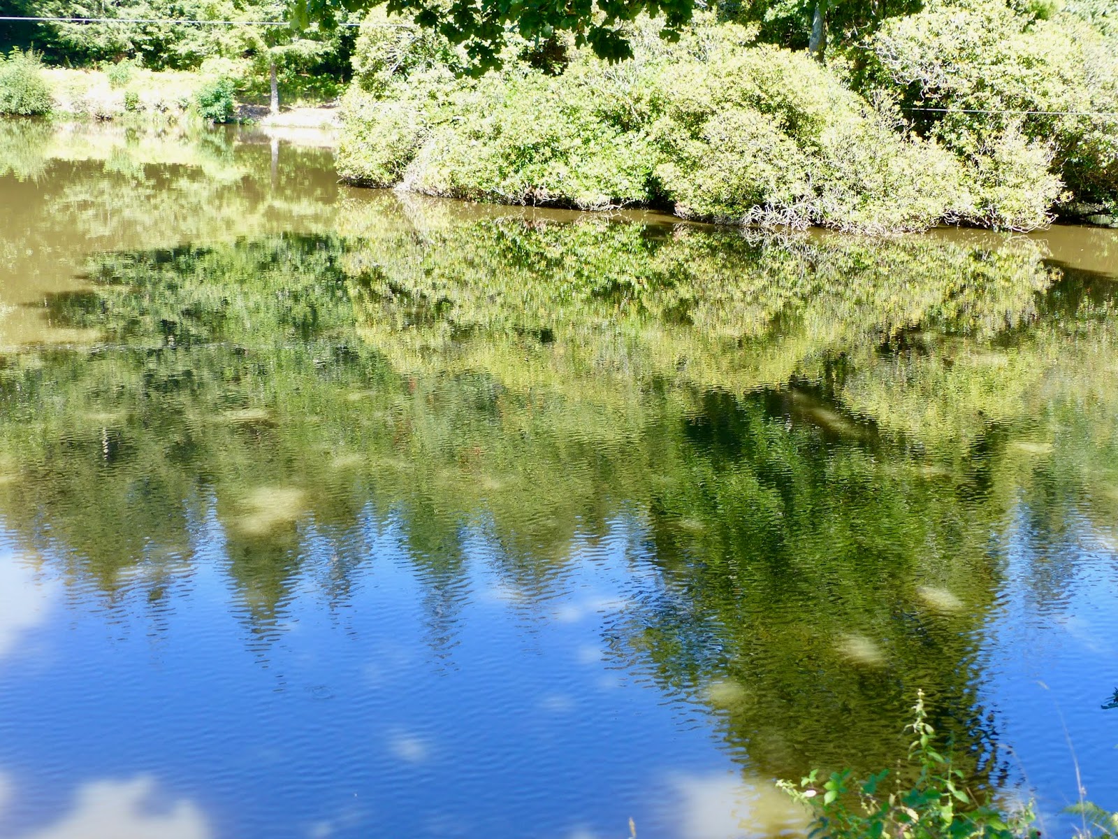 Le retour chez Canelle Le chateau de Keronic (2)