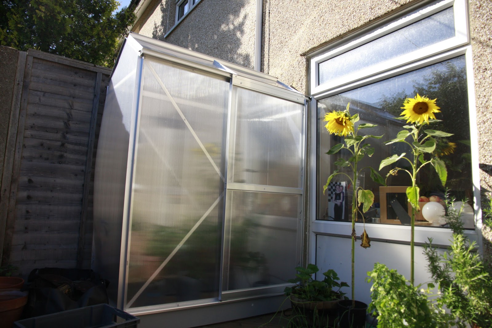 g: Argos 'walk-in' Greenhouse review