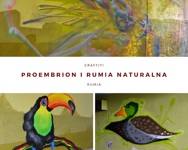 Graffiti Rumia Naturalna - Proembrion