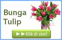 http://www.bunga24.com/p/jual-bunga-tulip-impor.html