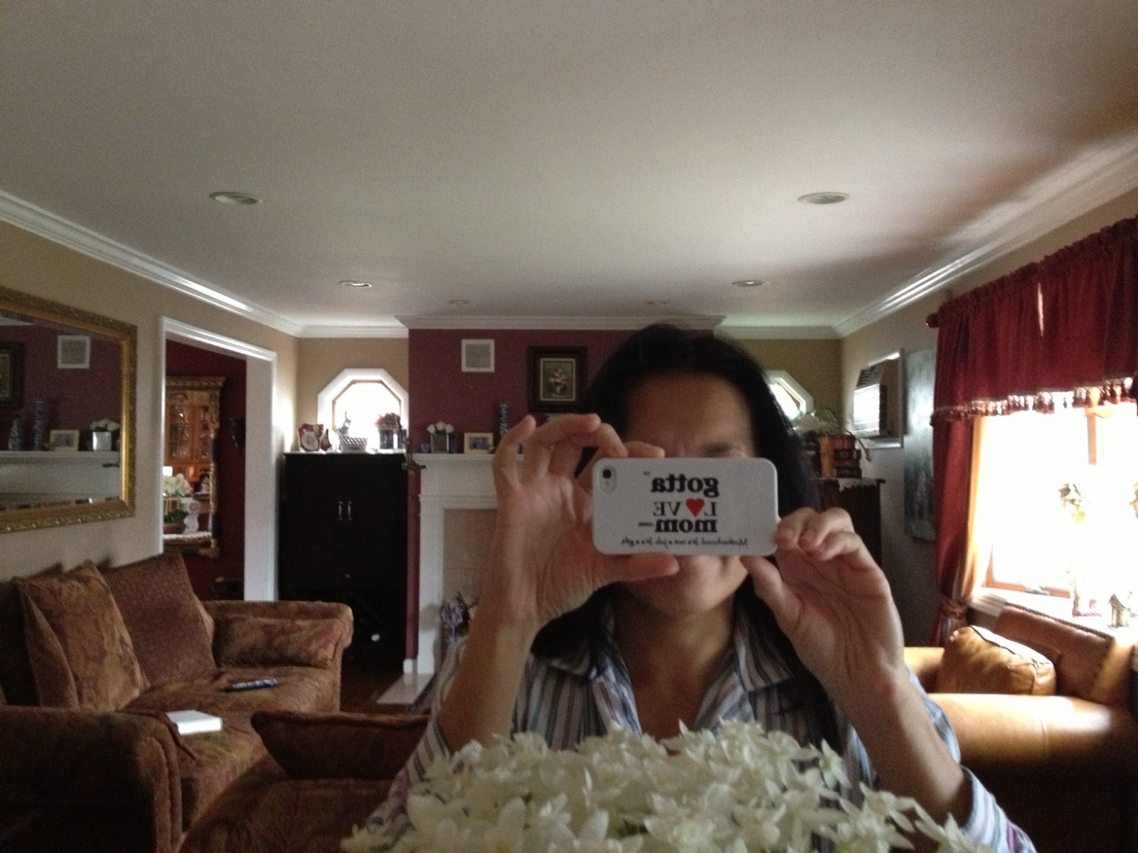 iPhone 4s Camera Crashing After Upgrading to iOs 6