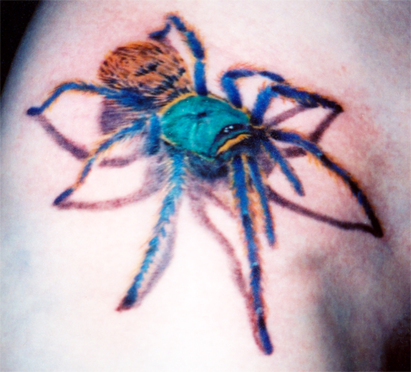 spider tattoo aranha arachnids tattoos realistic grey scorpions tattoomagz 14pm may