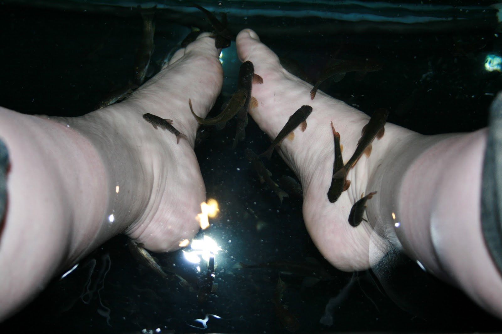 Fish pedicure near me