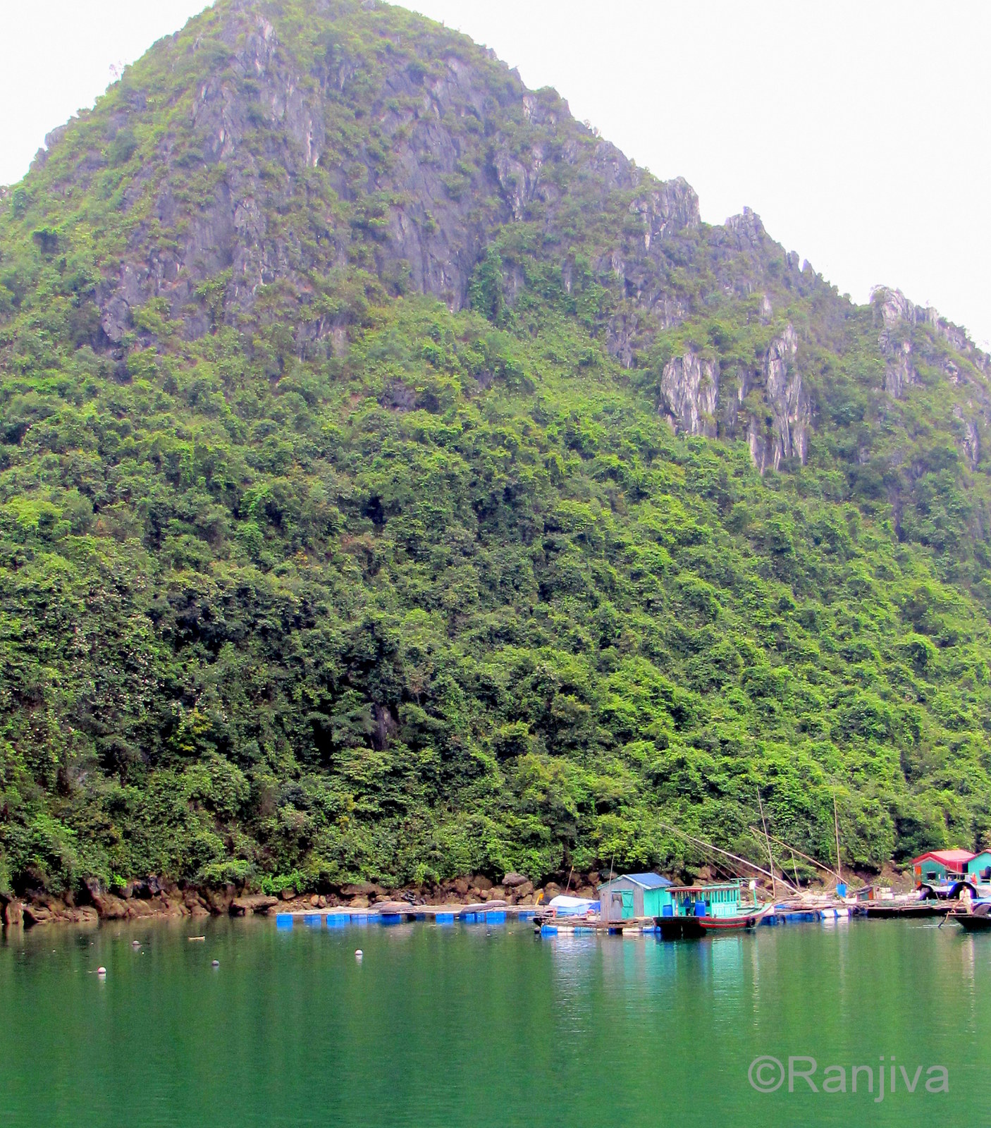La Baie d'Along et ses rivages Paysages et Fleurs au fil de l'eau