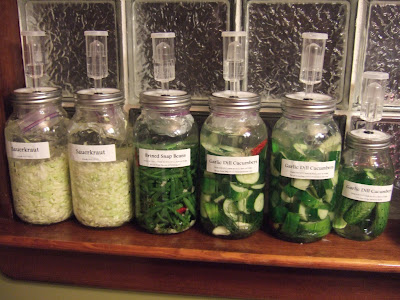 fermenting vegetables