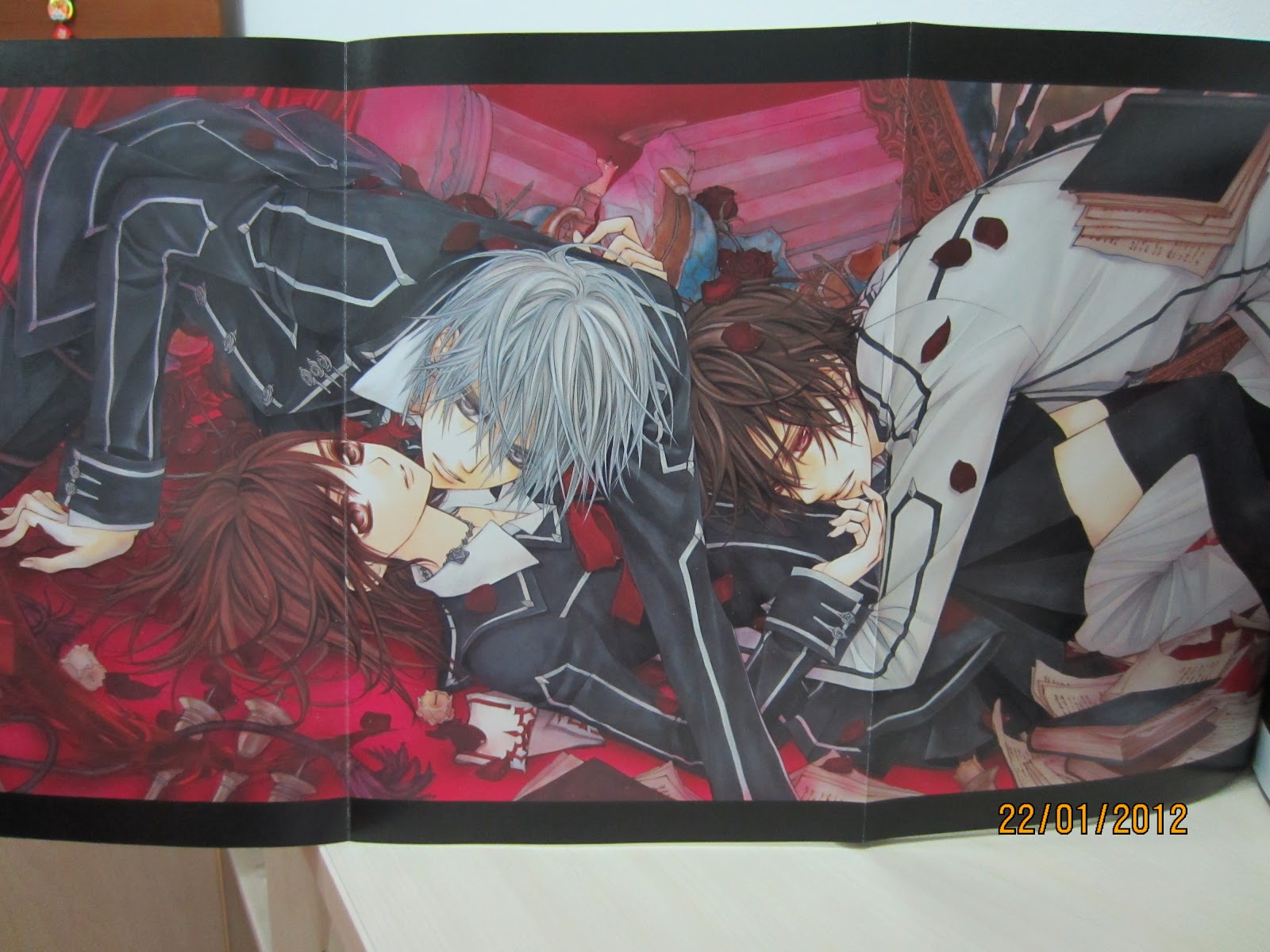 The Random Smoothie: Vampire Knight Art Book