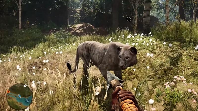 Играть в зверь есть зверь. Far Cry 3 питомцы.