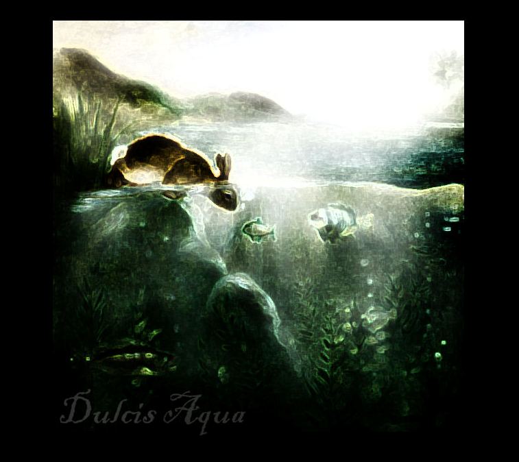 Dulcis Aqua